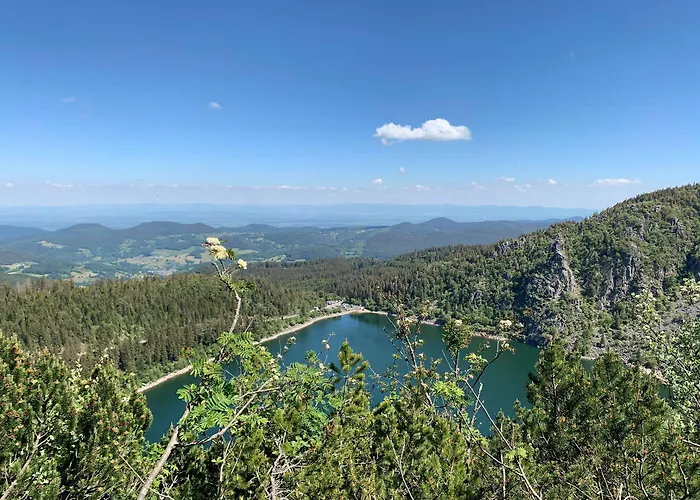 Restaurant Et Au Tilleul Hotel