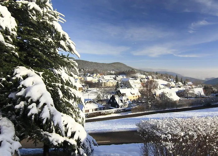 Restaurant Et Au Tilleul Hotel 3*